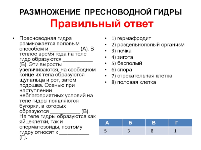 Kraken clear ссылка